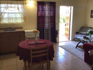 Antigua Seaview - Saint Johnʼs - 3