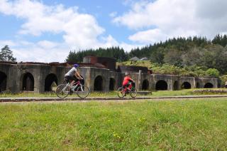 Shunters Cottage - Waihi - 5