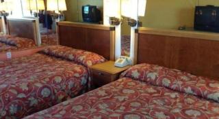 Coast Motel - 2