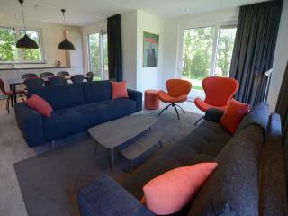 Villa in Texel near Beach and Nature Reserve - 1