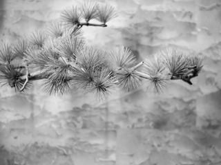 Novotel Changsha International Exhibition Center - 3