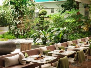 Sanderson London - 7