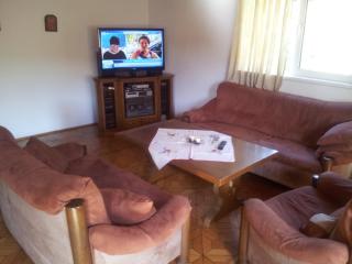 Cabana Ninel - Văliug - 1
