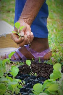 Kempinski Seychelles Resort - 6