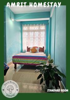 Amrit Homestay - 8