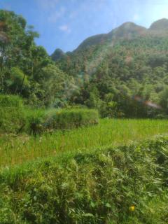 Homestay Khánh Pù luông - 6
