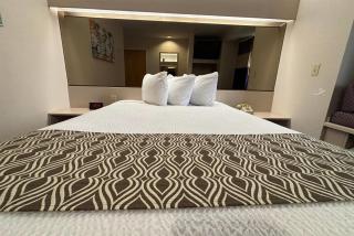 Microtel Inn by Wyndham Champaign - Champaign - 5