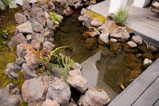 XingLe All-inclusive Suzhou Courtyard House - 5