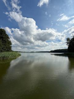 Ferienhaus 5 Sterne am See mit Kamin - 6