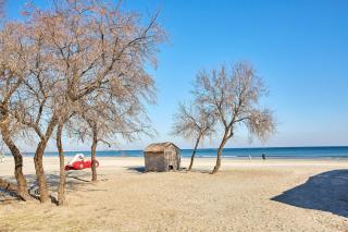 Ap Roiyal Mamaia Nord - 1