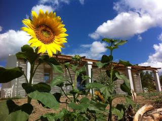 Nacchinono - Olbia - 9