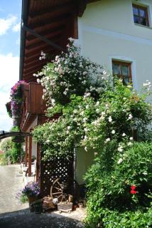 Haus Am Waldrand - Ferienwohnung Augustin - 8