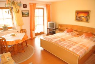 Haus Am Waldrand - Ferienwohnung Augustin - Grafenau - 4