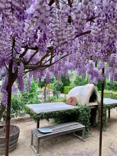 Dimensions X Farm-stay at Krinklewood Estate - 3