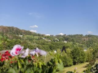 Home with Garden, Hallenberg - 3