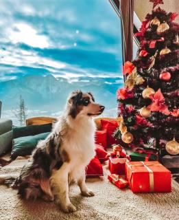 Osada Gubałówka na Polanie Pająkówka & SPA - Kościelisko - 7