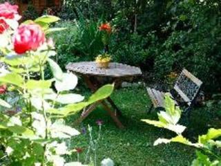 FERIENINSEL-AN-DER-DREISAM - 1