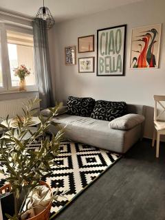 OSKA Apartament przy parku, klimatyzacja, TV, parking, Tauron, Expo, komunikacja miejska - 9