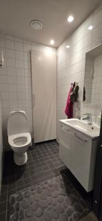 Arctic Villa Iisakki - 1