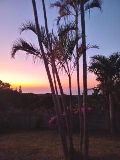 Vervet Guesthouse - 2