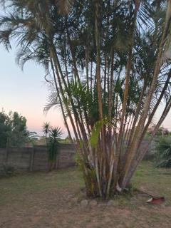Vervet Guesthouse - 1