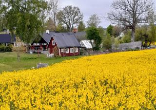Brösarp Källagården Vedboden - 4