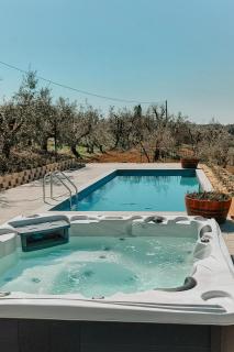 The Olive Grove in Tuscany - 8