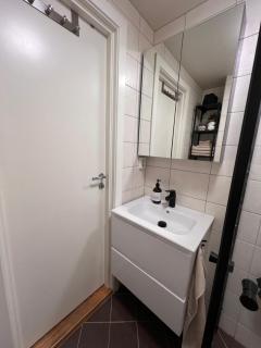 Koselig studioleilighet i Oslo - 1