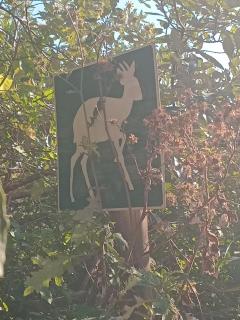Vervet Guesthouse - 4