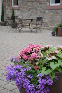 Wersauer Hof - Ferme Auberge - 9