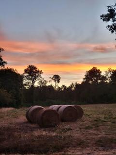 La Hulotte de Labarthe - 8