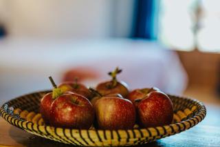 Orias Guesthouse & Farm - 2