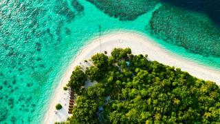 Tropical Escape Inn - 6