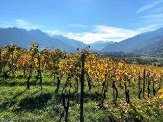 Fromm's Guesthouse - 1