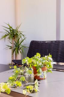 Proche Nice Studio Terrasse Piscine Clim - 6