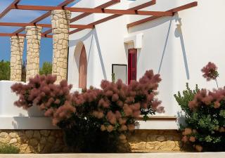 Villa Adele Monopoli,Puglia - 7