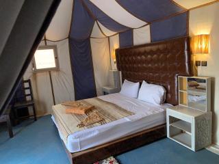 Desert night Camp - 1