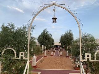 Desert night Camp - 3