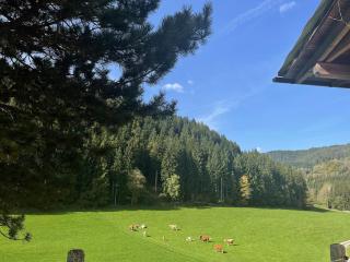 Urlaub am Christofberg - 8