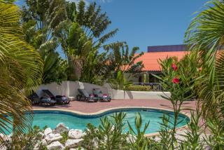 Blue Marlin Apartments, Nabij Mambo Beach - 0