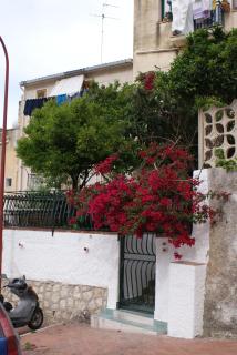 Aura Maris - Castellammare del Golfo - 8