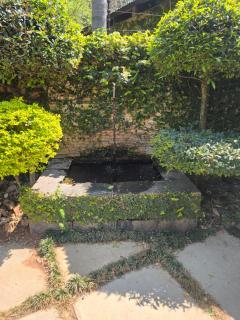 Ilnika Farm Stay - 8