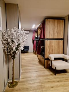 Velvet Hostel Business - 2