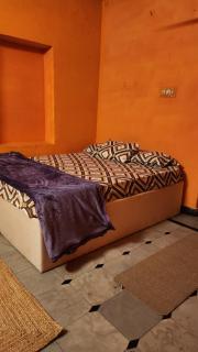 Tom's place hampi - 5