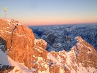 Vergissmeinnicht - 5