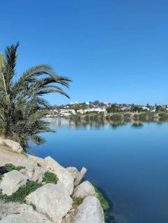 Charmant Appart Punique au Cœur de Carthage - 4