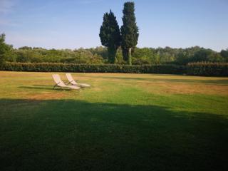 Avignon Grand Mas XXL avec Piscine, parc et Mazet - 5