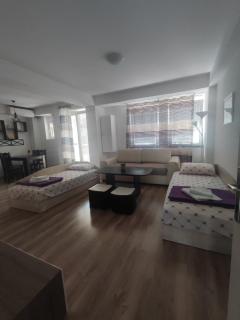Stefea Apartment- 5 Min to Center - Free Parking - 0