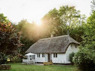 Historic Vipp House From 1775 In Søllested - 9