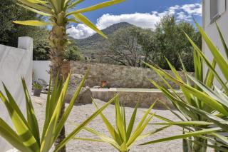 E Case D’Olivia Casa 1 - 9